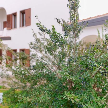 Villa Wunjo Iun R3267 La Maddalena  Exterior photo